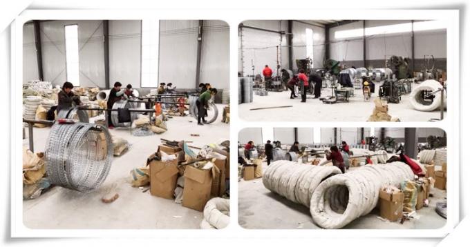 Straight Line Razor Wire Galvanized Welded Razor Barbed Wire Mesh