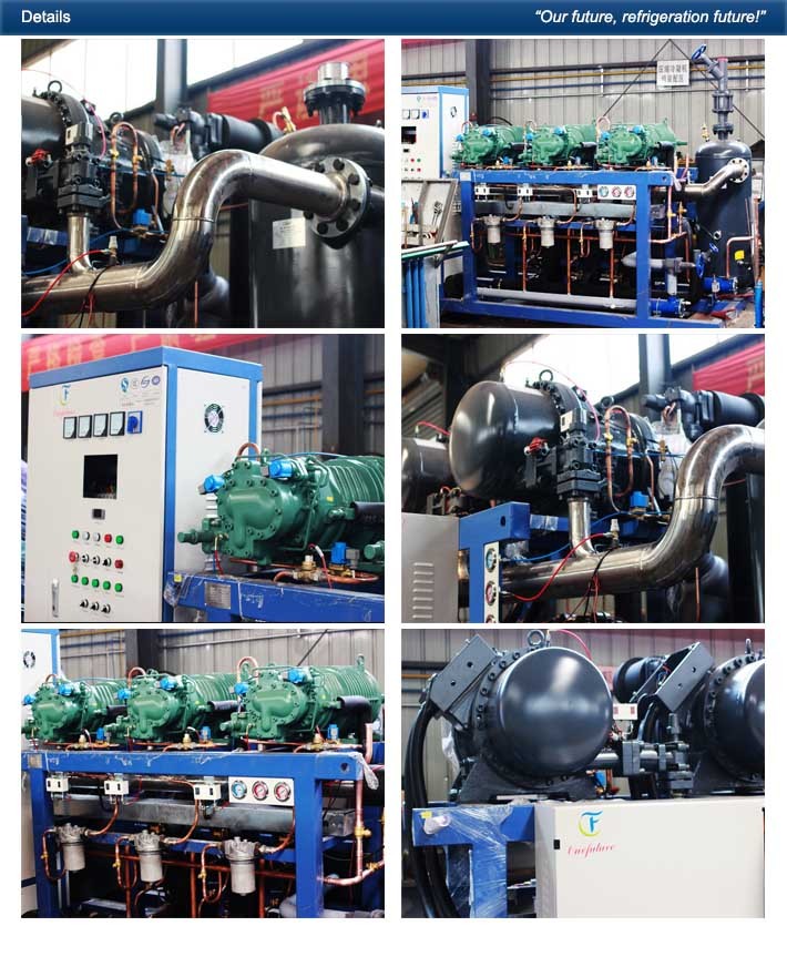 Cool Room Refrigeration Unit Anbell Carrot Precooling Cold Storage 400hp