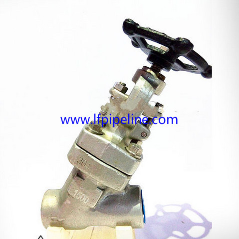 F304 Socket Welded/NPT Threaded Y Type Forged Globe Valve