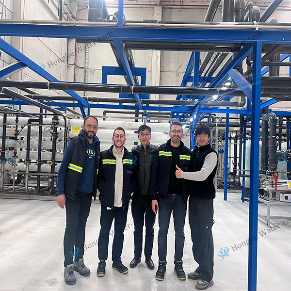 Customized Ultrapure Water Equipment OEM Manufacturing Installation & Commissioning