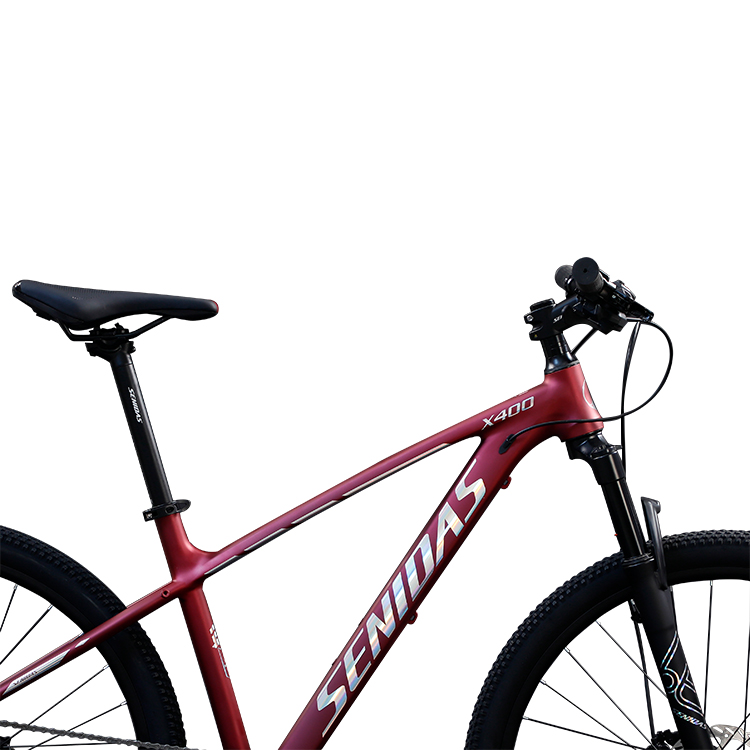27.5 29 Bicycle Marlin 10 Speed Customized Adult Mountain Bike with and Ordinary Pedal