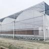 Buy cheap Hydroponic Growing Systems Greenhouse Low Cost Greenhouse Agriculture Plastic from wholesalers