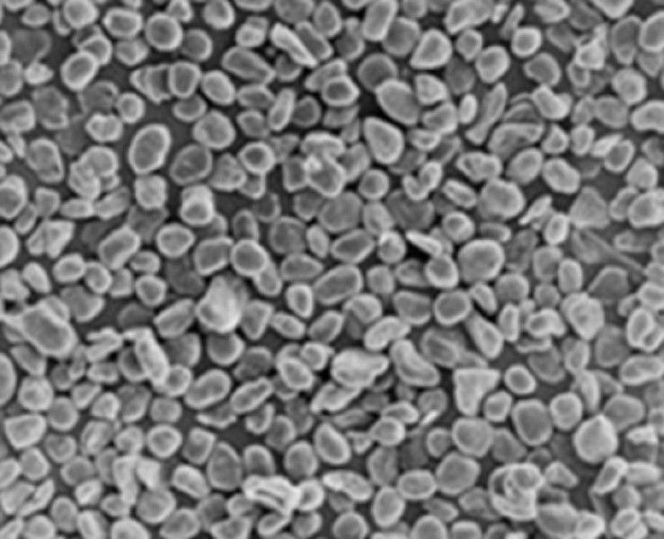 D50 Spherical Graphite Powder For Lithium Ion Battery