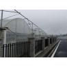 Buy cheap Agricultural Hydroponic Venlo Glass Greenhouse High Efficiency Energy Saving from wholesalers