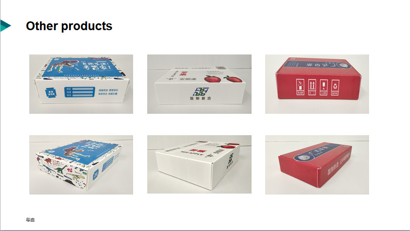 Anti Mold Plain Plastic Corrugated Foldable Boxes AI Customized