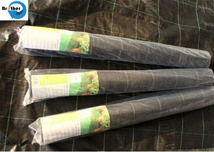 Heavy Duty Landscape Weed Control Fabric with Spacing Perfect Gardening Weed Blocker Barrier Ground Cover