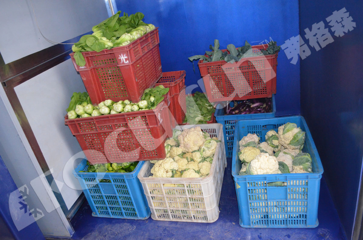 Low Noise Advantage Vacuum Cooling Machine for Mushroom and Cool Fresh Vegetables