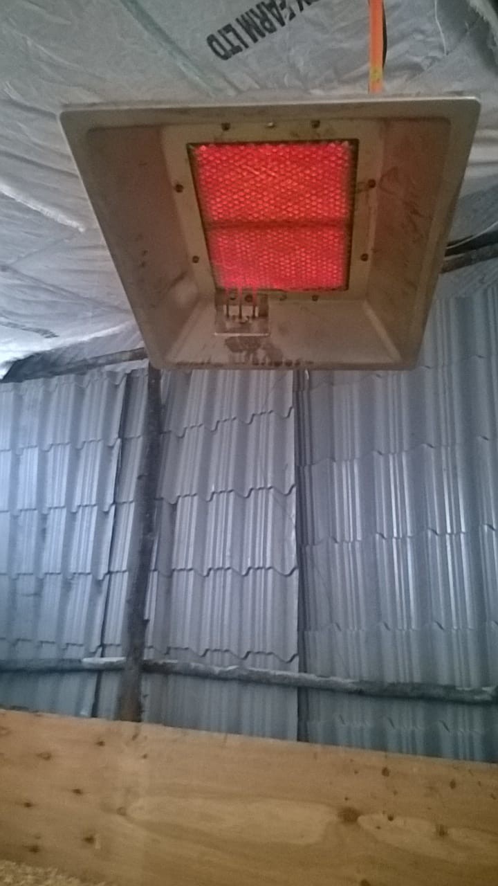 Chicken Farm Poultry Brooder Heater 4 model For Pig Chick Shed Safty