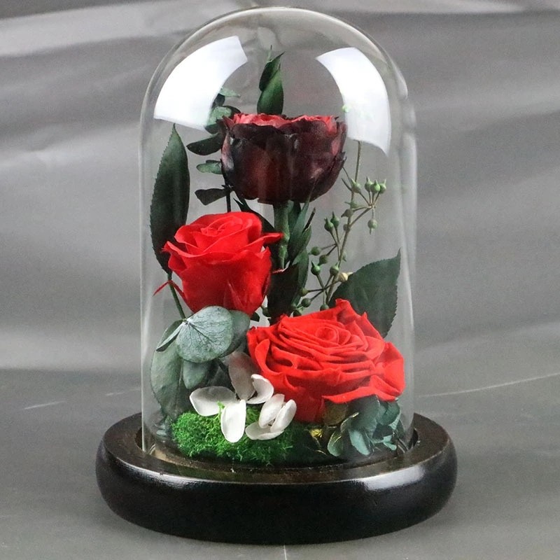 Real Preserved Rose in Glass Dome use for Office gift or Home Decoration