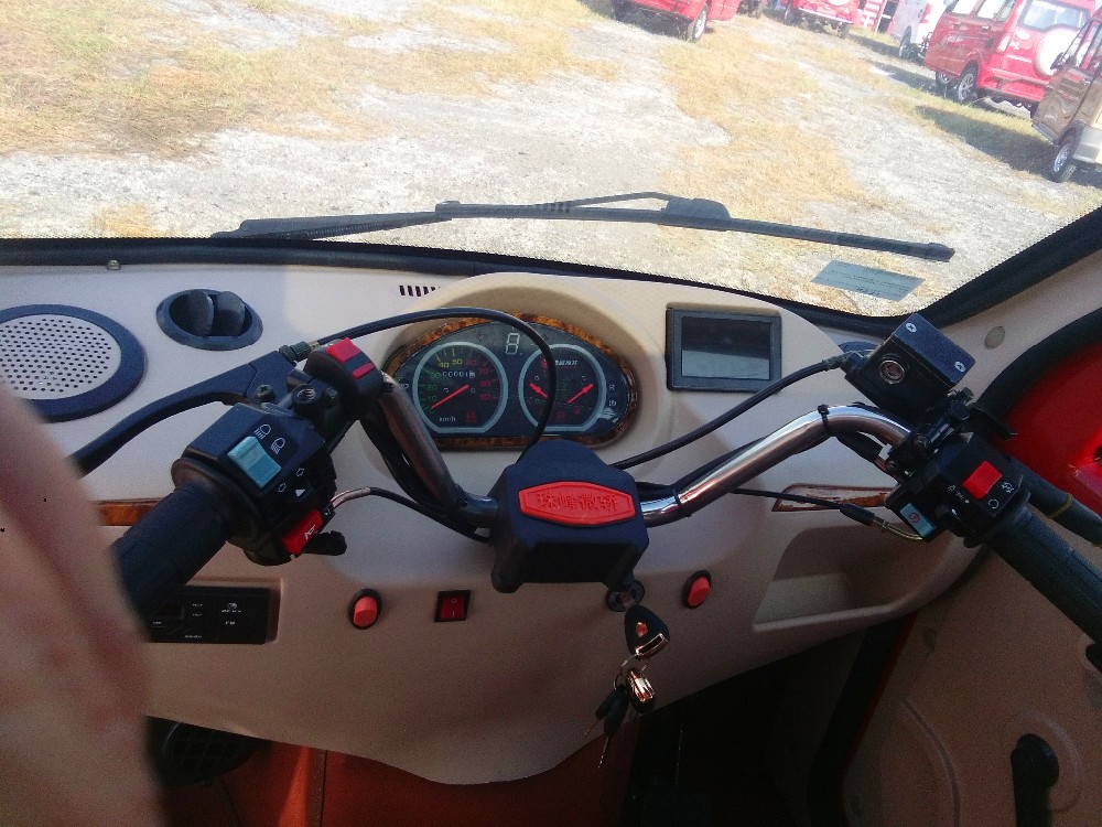 250cc Gas Powered 3 Wheel Trikes