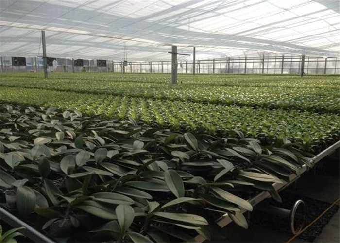 Good Ventilation Greenhouse Rolling Benches , Greenhouse Seedbed System 1.2 - 5.0mm Diameter
