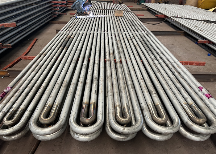 Secondary Coal Boiler Superheater Coilsin Thermal Power Plant ODM