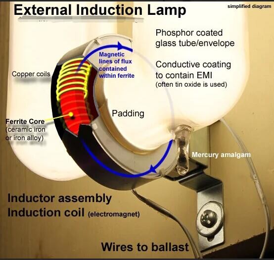 Durable Electrodeless Discharge Lamp High Brightness Fluorescent Light