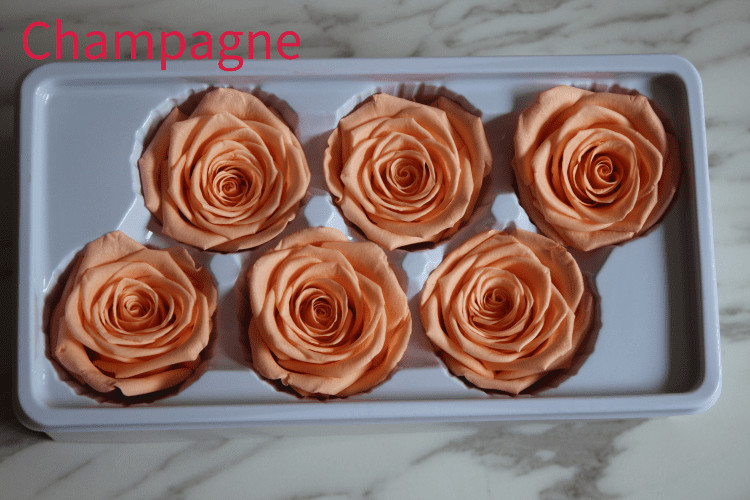 beautiful preserved rose flower A grade stabilized rose preserved long lasting eternal rose 4-5cm