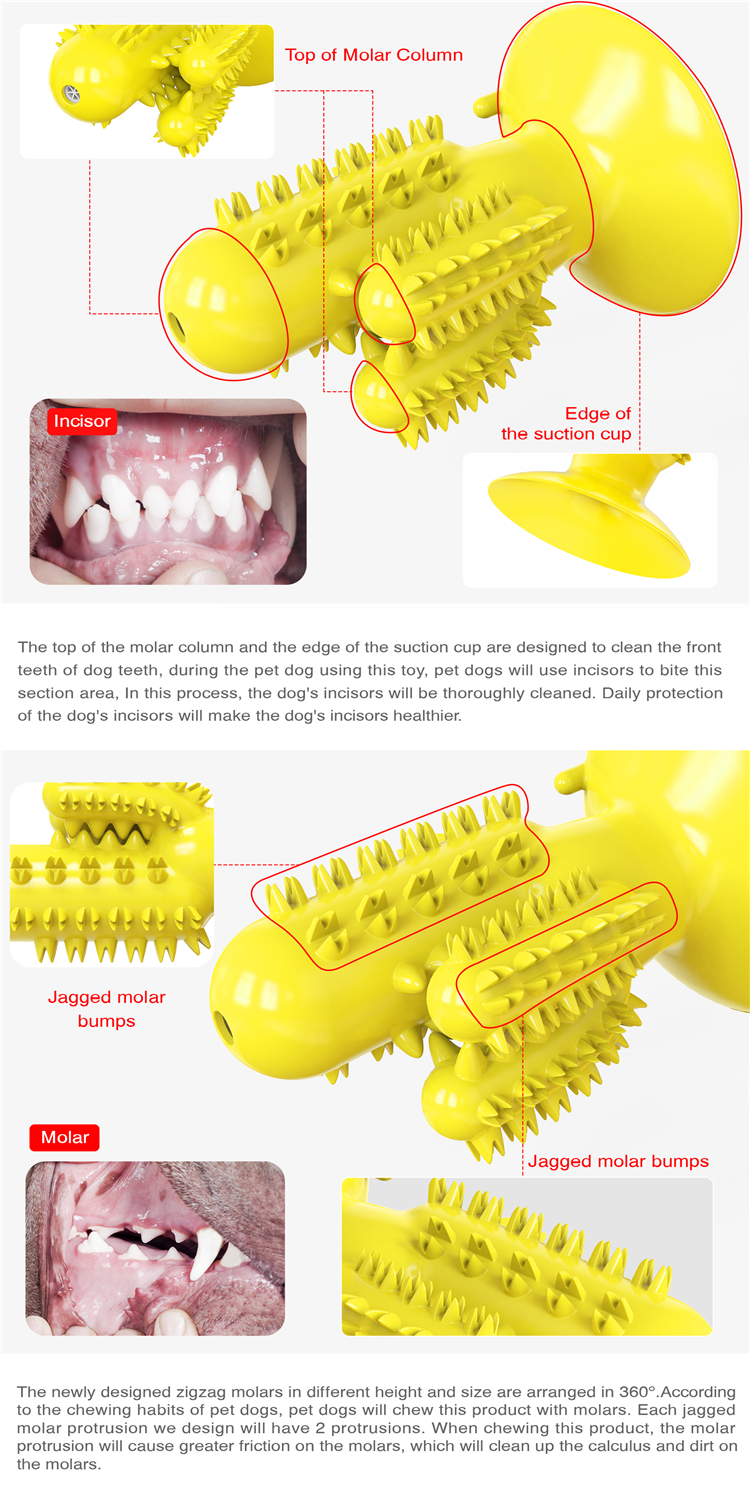 Durable Rubber Cactus Tough Interactive Squeaky Dog Toys For Aggressive Chewers
