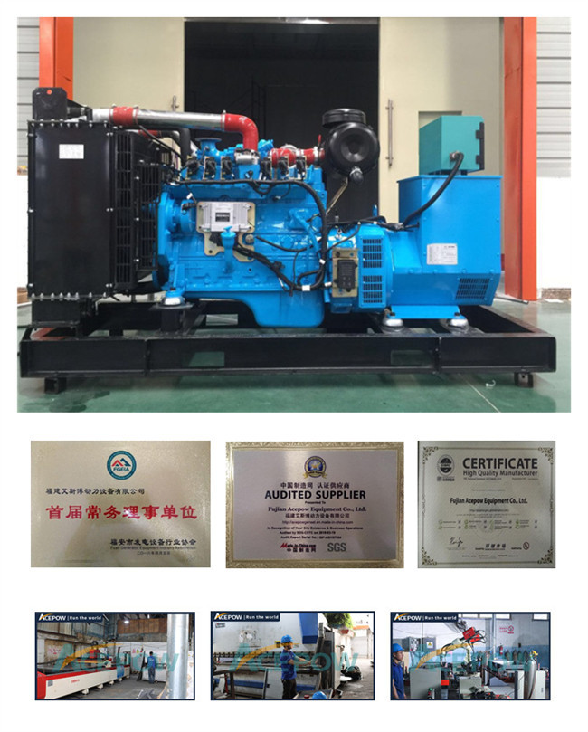 Steel 5 KVA 20KW 220V Natural Gas Standby Generator