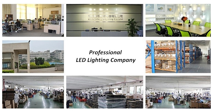 IP65 Waterproof Outdoor Solar Garden Lights , 500lm Outdoor Solar Security Lights