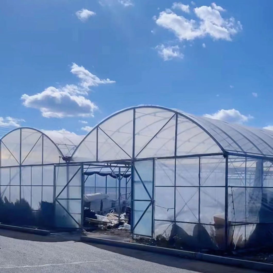 PVC Pipe Drip Irrigation Greenhouse
