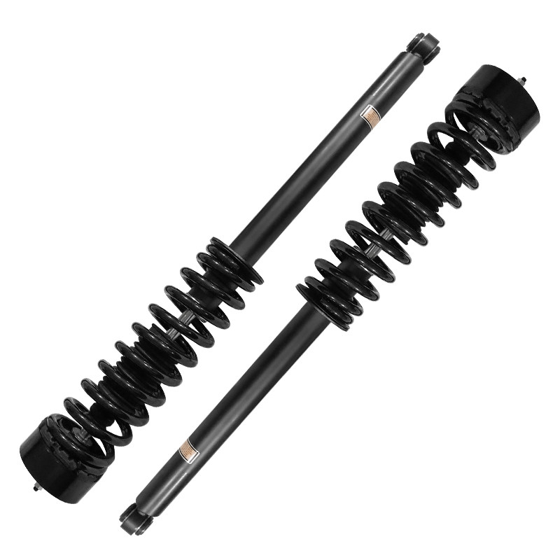 Airmatic Air To Coil Spring Conversion Kit for Mercedes - Benz S - Class W220 1999-2006 Rear