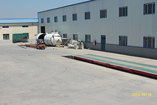 China Li Niu Niu Food Factory wholesale Top Quality Export Walnut Best Price Raw Dry Fruits Washed Walnuts