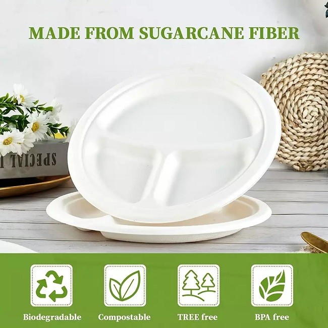 9 10inch Compostable Sugarcane Plates Degradable White Heavy Duty Paper Plates