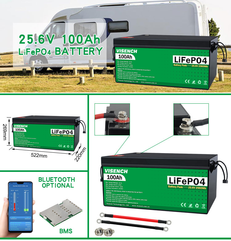 Visench Rechargeable Lithium Ion Batteries 51.2V 100Ah 24 Volt Custom LiFePO4 Battery Pack