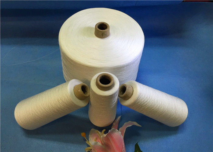 100% Polyester Spun Yarn With Paper cone / 24000KG Polyester Sewing Thread For A Container