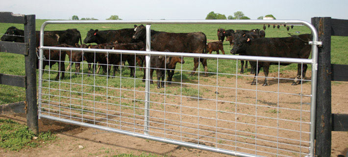 Livestock Cattle 1.6m Metal Farm Gate Galvanized Steel Pipe Design