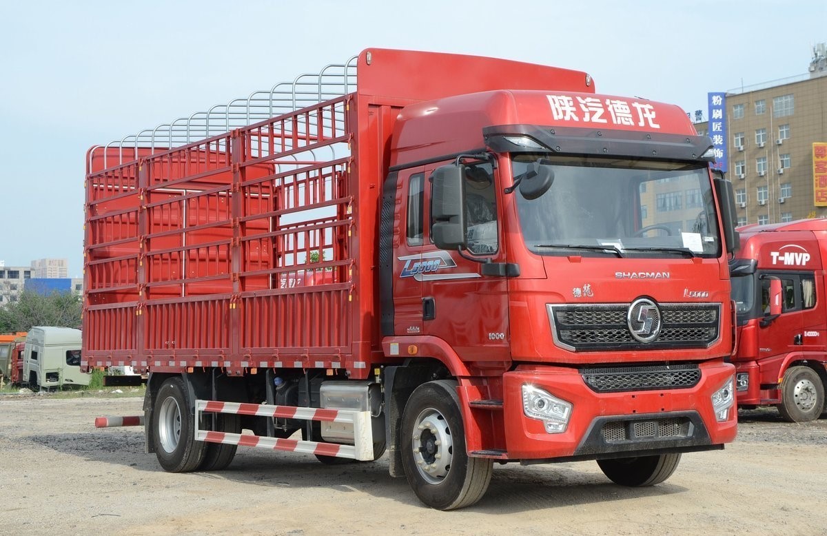 Transport Vehicle 245HP Support Customization Shacman L3000 4x2 Cargo Truck
