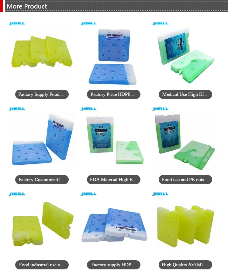 Professional Reusable Freezer Packs , Gel Filled Ice Packs 16.5x9x1.8cm Size