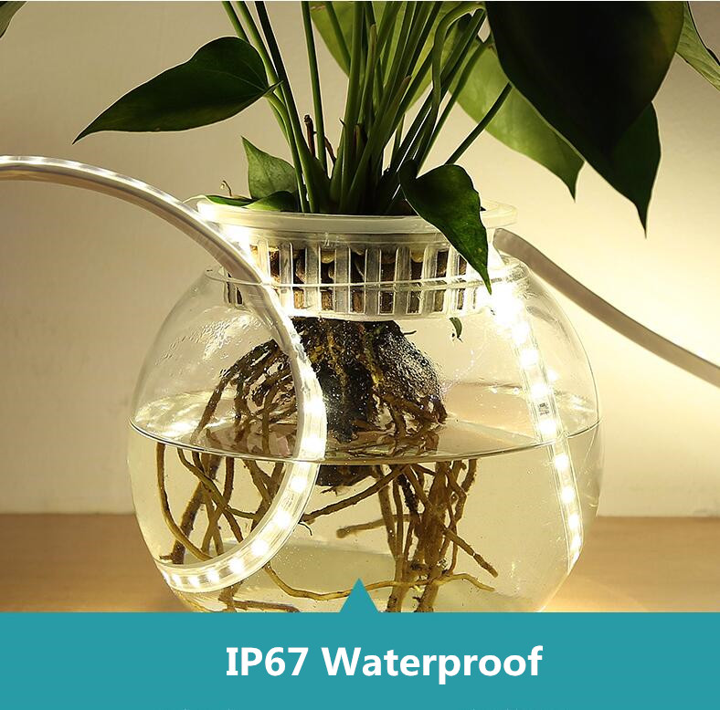 Waterproof RGB 5050 SMD LED Strip Lights With IP67 Rating And 412LM/m Light Output