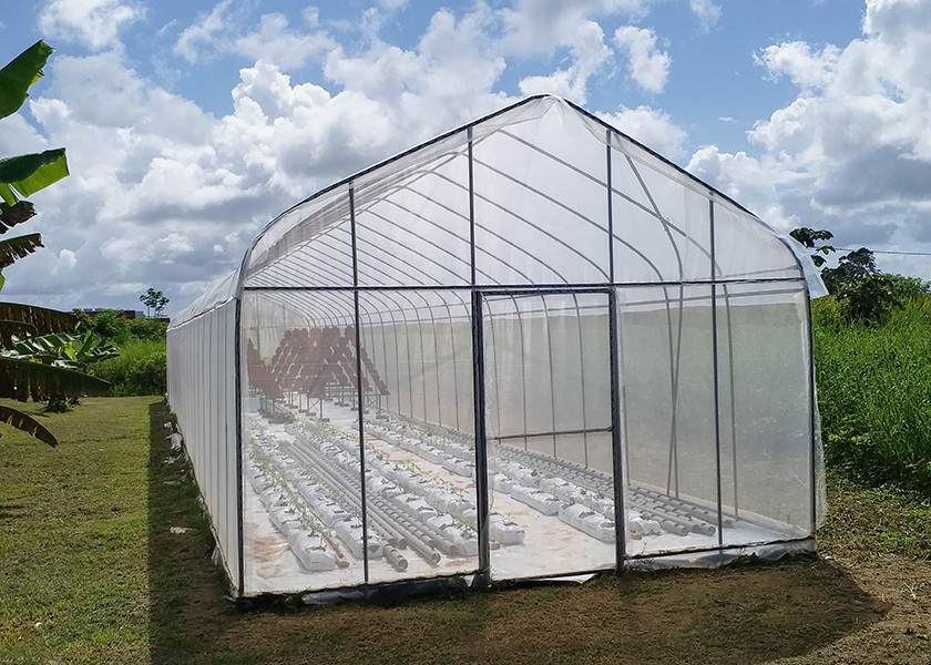 UV Protection Small Polycarbonate Greenhouse Mini Tunnel Greenhouse With Rust Proof Frame