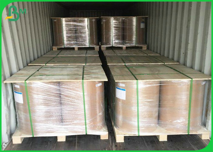 pe coated paper