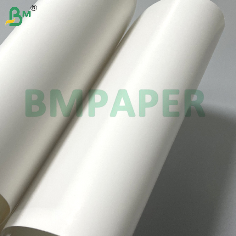 Eco - Friendly Waterproof Good Stiffness Cup Paper Board Non - Toxic 100gsm PE Coated