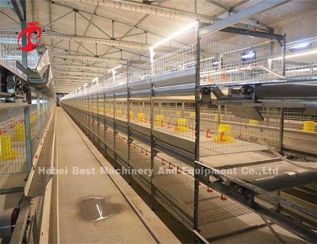 Automatic 4 Tiers H type Broiler Chicken Cage For Meat Chicken Farm Ada