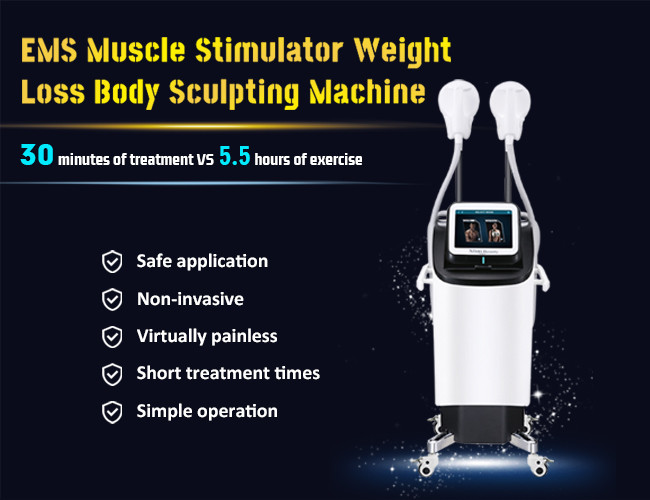 Muscle Stimulator Weight Loss Slim Beauty Machine Body Muscle Sculpt