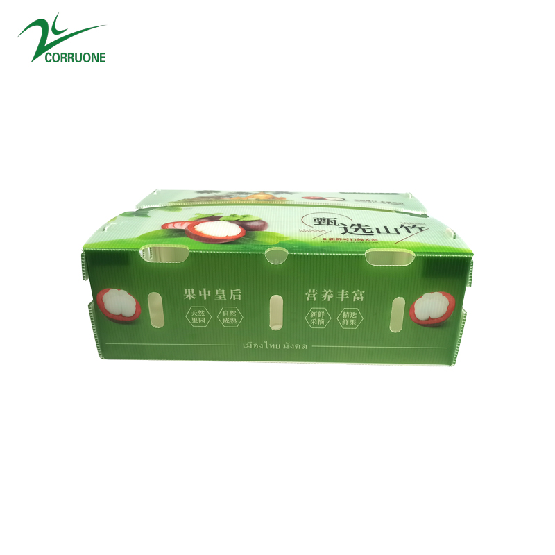 Corn Corflute Box Vegetable Corrugated Boxes Recyclable Custom Size