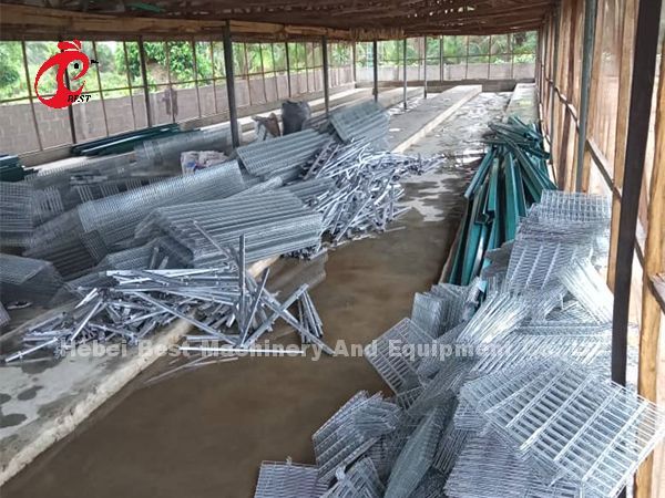 Poultry Farm Battery Cage Price In Nigeria 4 Tier Layer Cage Iris
