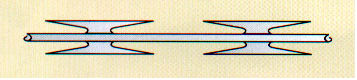 Low price concertina razor barbed wire