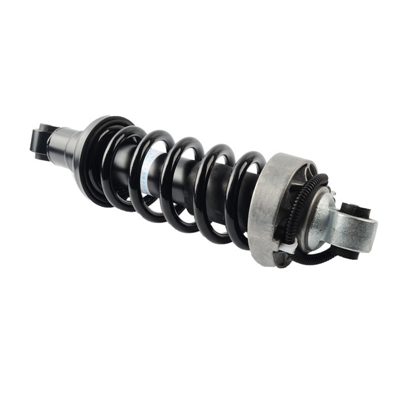 Air Suspension Shock Strut Absorber Audi R8 Rear With ADS 420512019AL 420512020AL