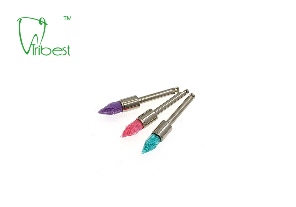 Dental Polishing Kit Teeth Polishing Brush Nylon Brush Pencil Sharp