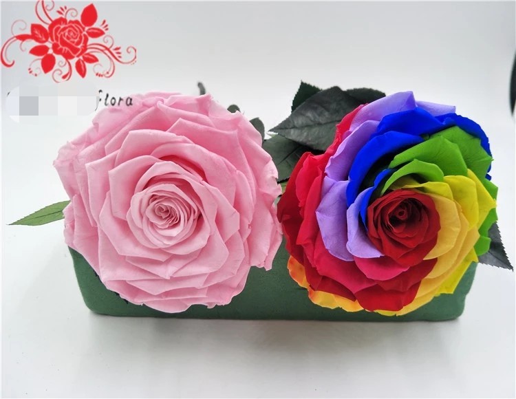 10cm Preserved Flower Rose with Stem Long 30cm Real natural fresh roses