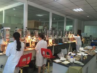 Chongqing Scope Instrument Co. Ltd