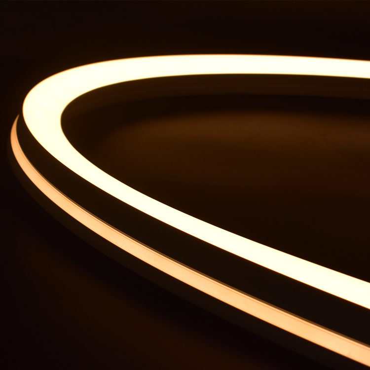 5000mm Motion Sensor LED Strip Rgb 5050 Flexible 12V Neon 2835