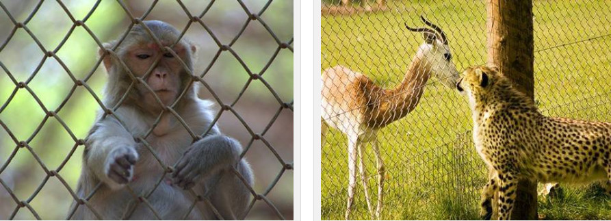 Zoo Mesh Smooth Surface Diamond Chain Link Fence