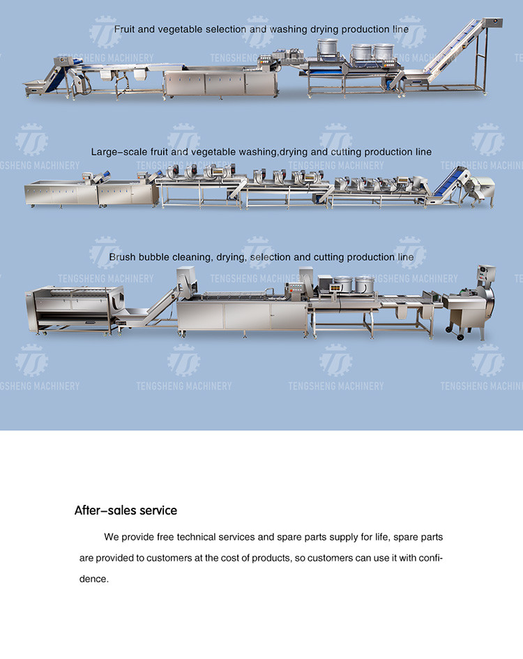0.75KW 0.8 Tons / Hours Vegetable And Fruit Washing Machine