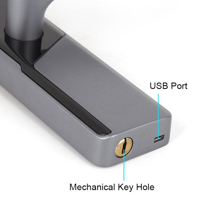 Black Color Biometric Fingerprint Keyless Digital Door Lock With FCC Certification