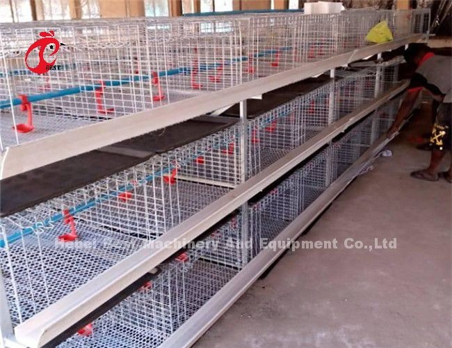 Automatic 4 Tiers H type Broiler Chicken Cage For Meat Chicken Farm Ada