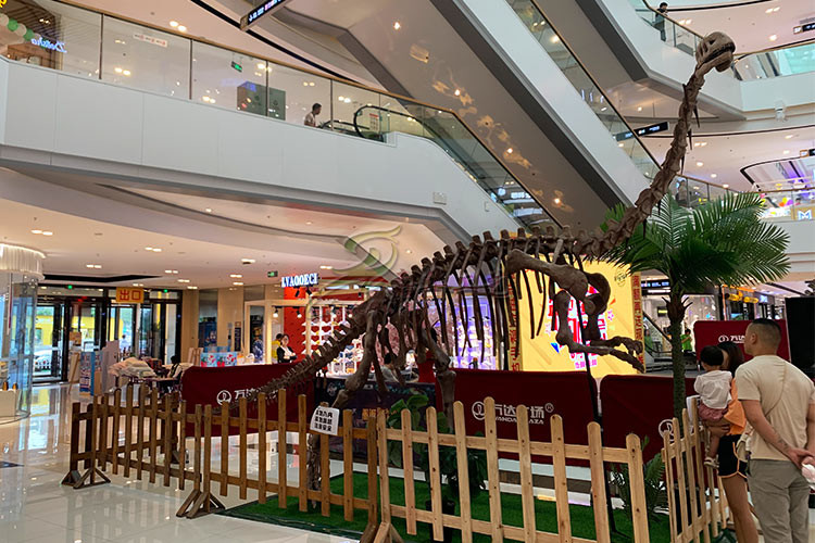 Indoor / Outdoor Exhibition Dinosaur Skeleton Bones Replicas With Steel Frame