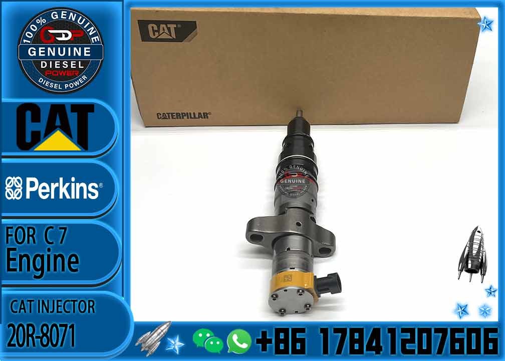 Common Rail Injector Assy 20R-8057 243-4503 20R-8071 295-9166 20R-8067 20R-8057 387-9429